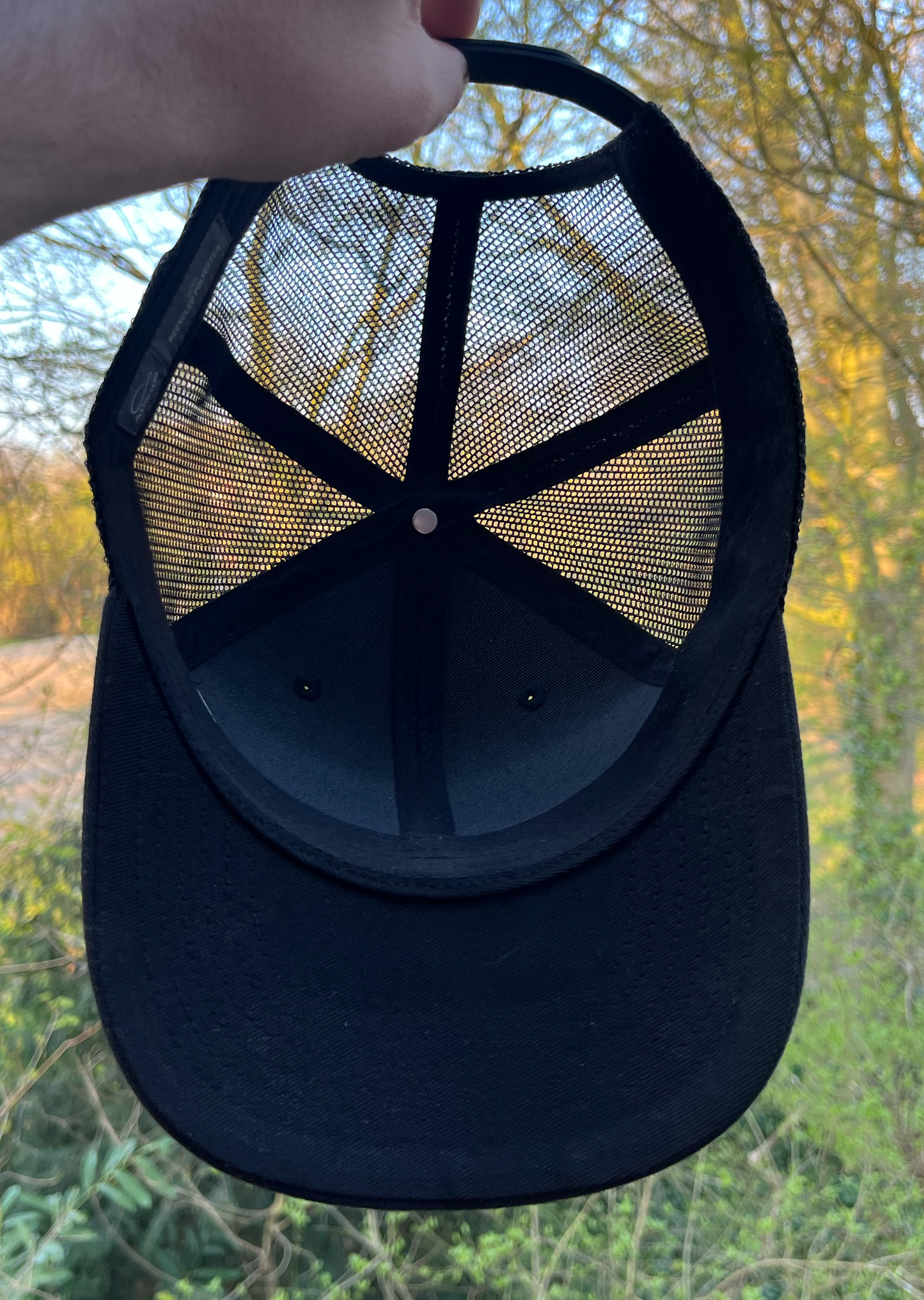 Alter Sensus Cap