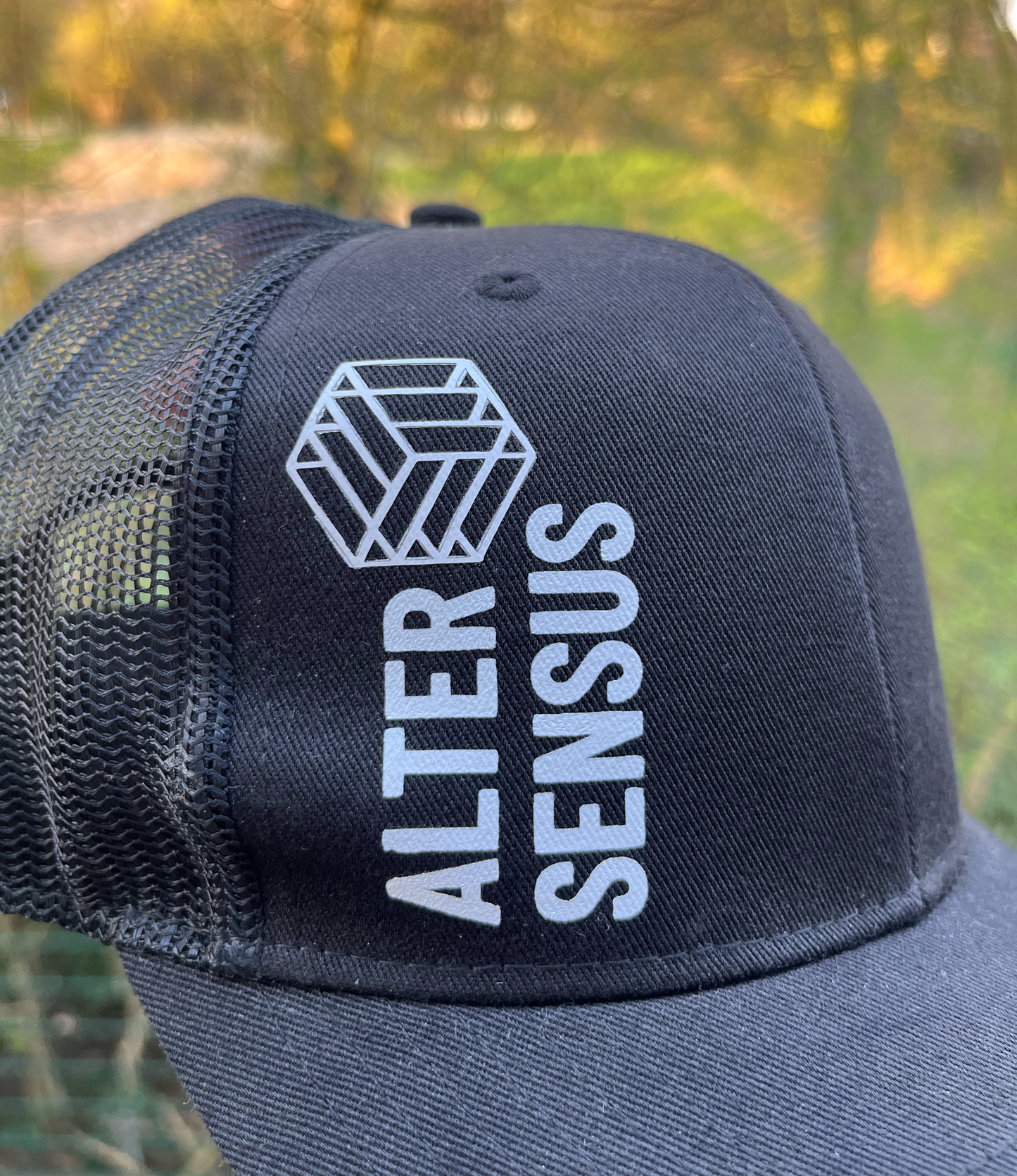 Alter Sensus Cap